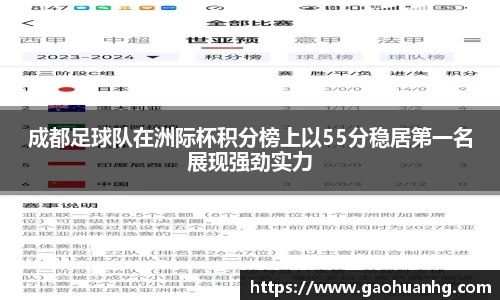 成都足球队在洲际杯积分榜上以55分稳居第一名展现强劲实力